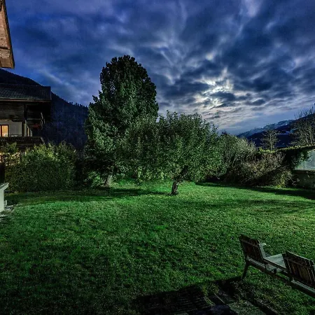 Alpine View - Bird's View *