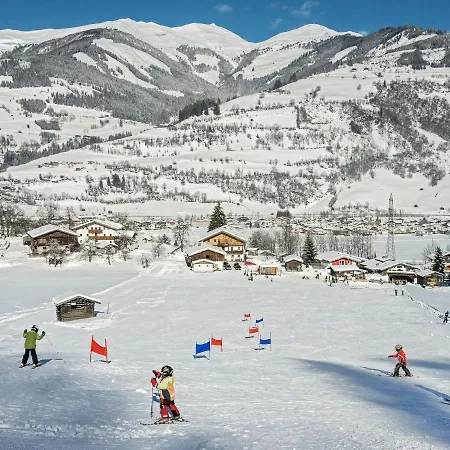 Alpine View - Bird's View Niedernsill