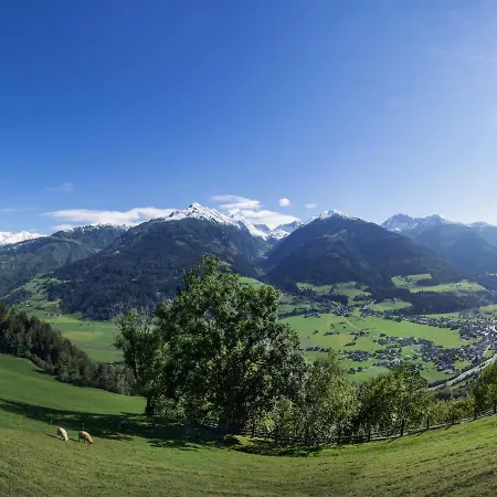 Alpine View - Bird's View *